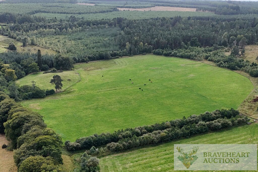 Land for sale - Image 3