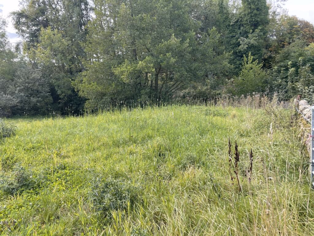 Land for sale - Image 2