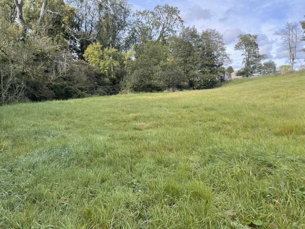 Land for sale - Image 3