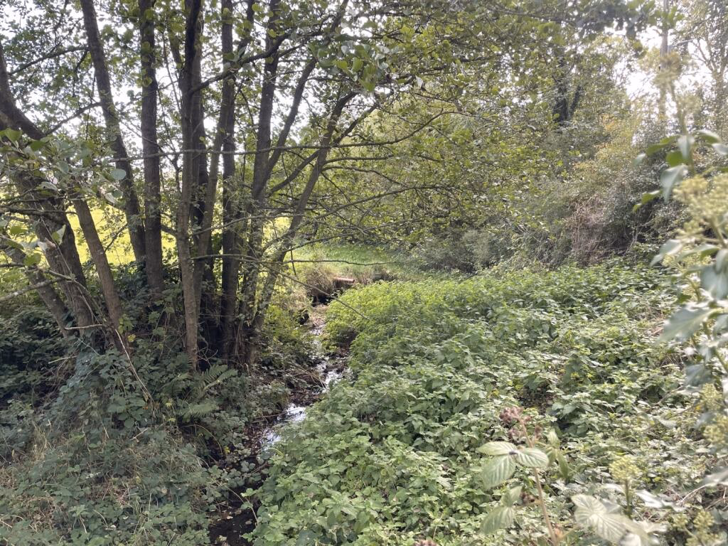 Land for sale - Image 5