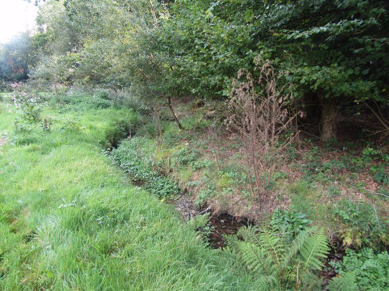 Land for sale - Image 3