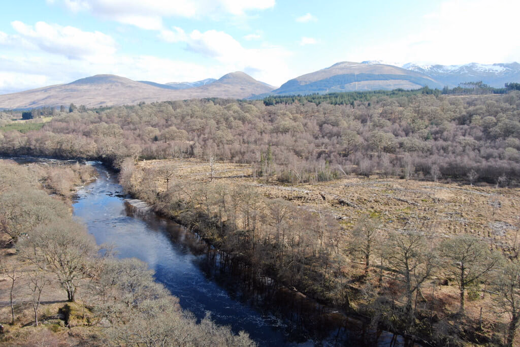 Land for sale - Image 5