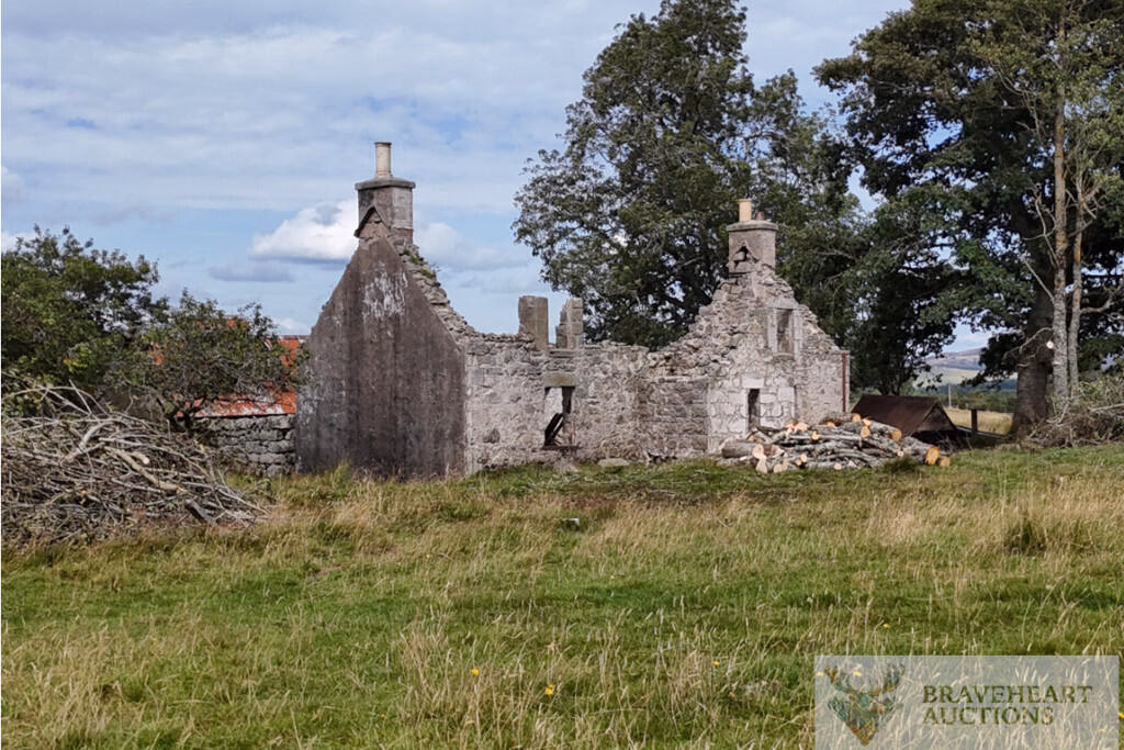 Land for sale - Image 2