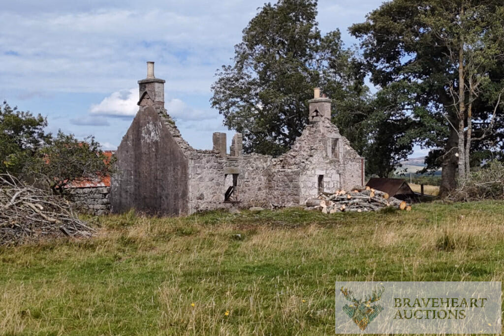 Land for sale - Image 5