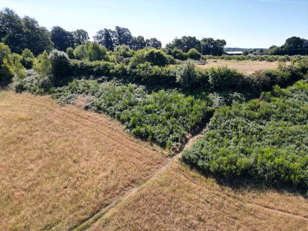 Land for sale - Image 4