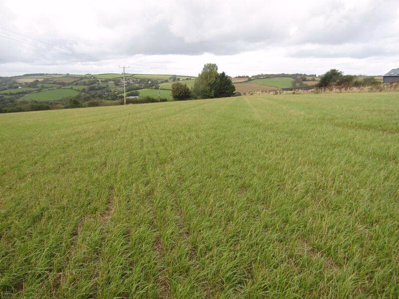 Land for sale - Image 4