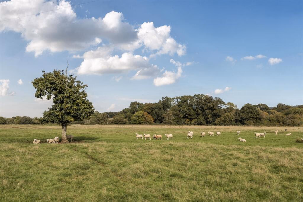 Land for sale - Image 3