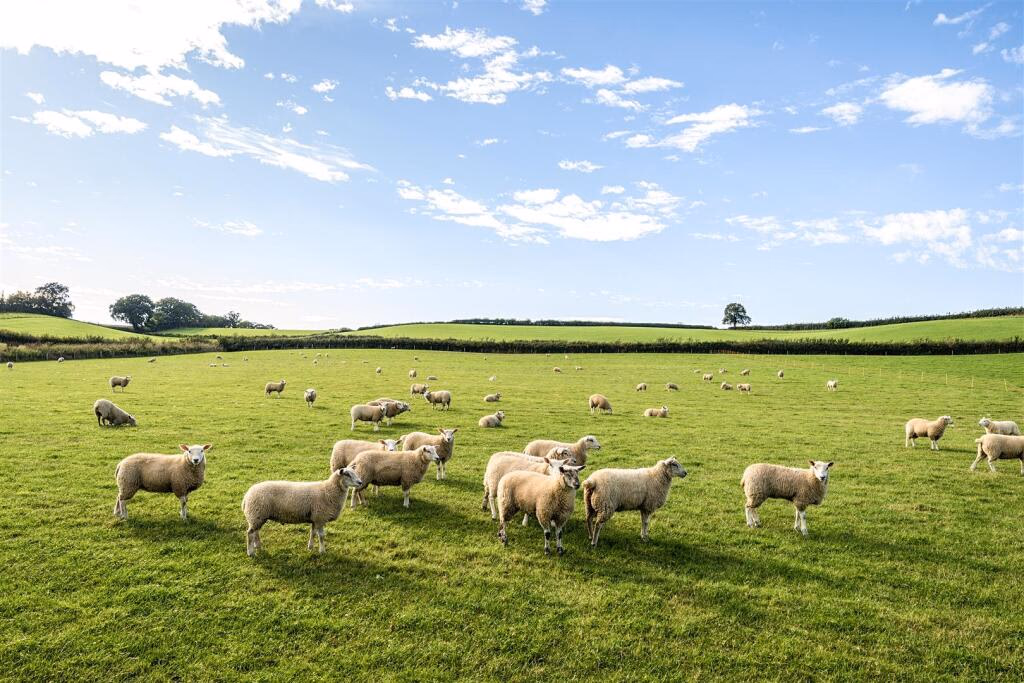 Land for sale - Image 4