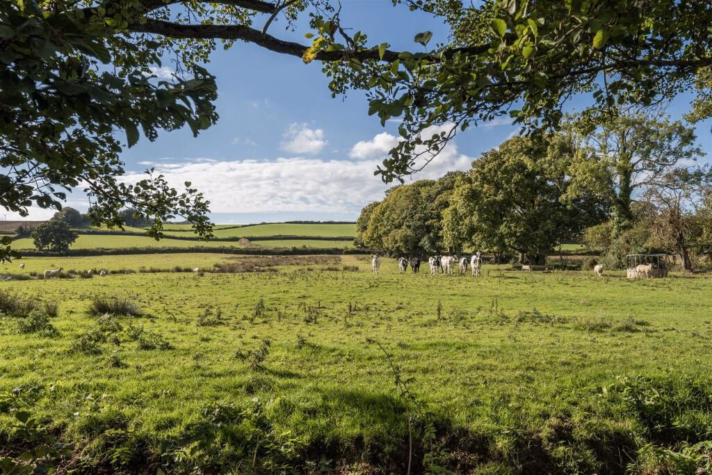 Land for sale - Image 3