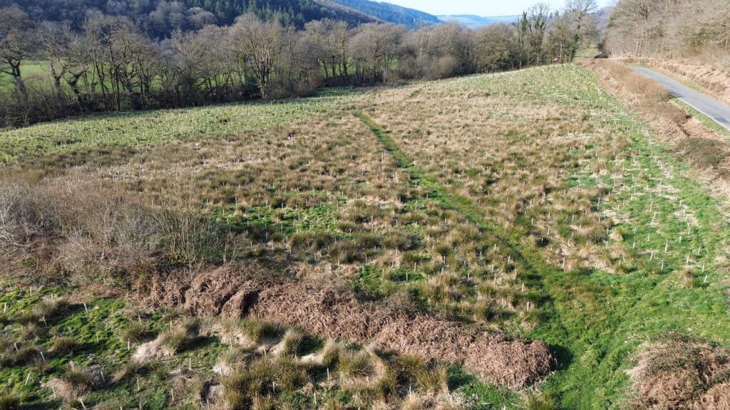 Farm land for sale - Image 3