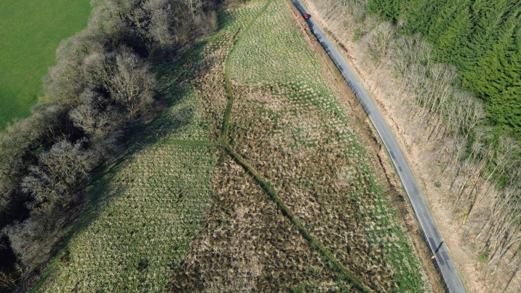 Farm land for sale - Image 4