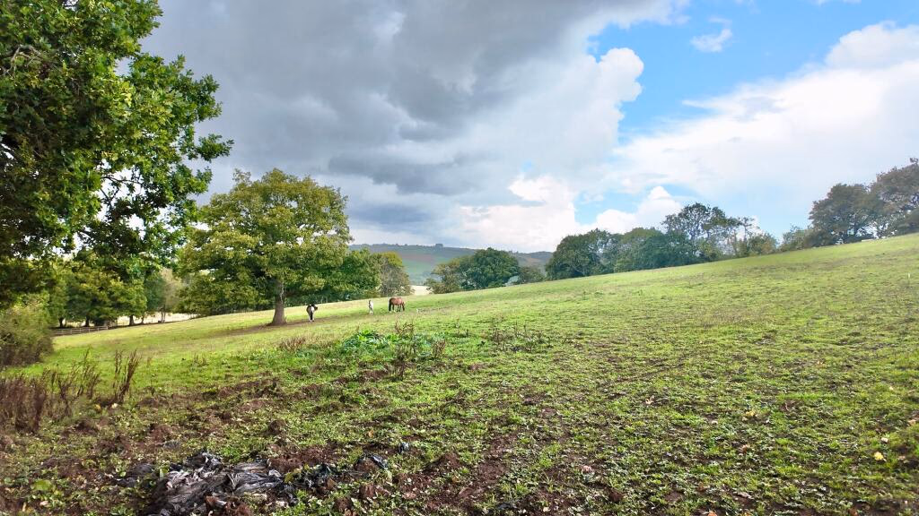 Land for sale - Image 1