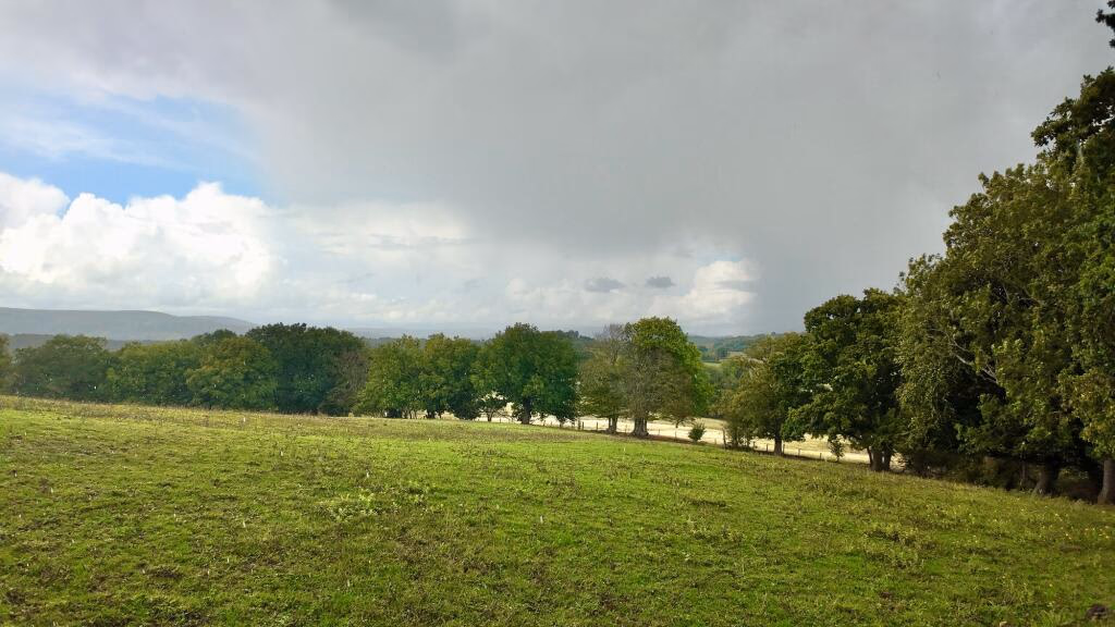 Land for sale - Image 2