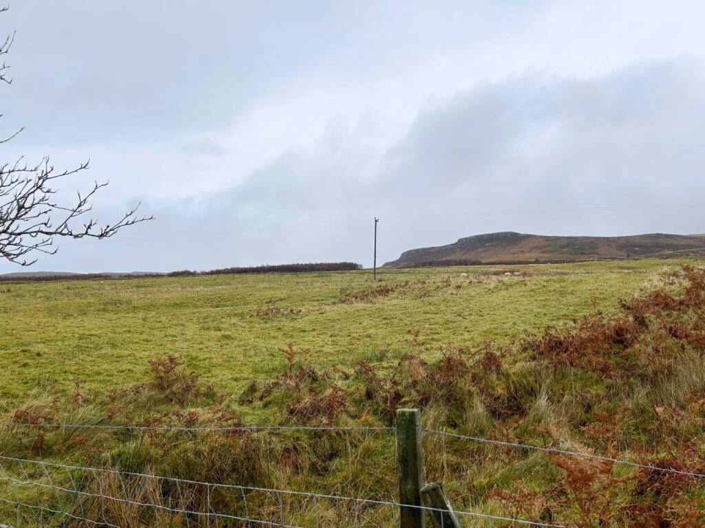 Plot for sale - Image 4