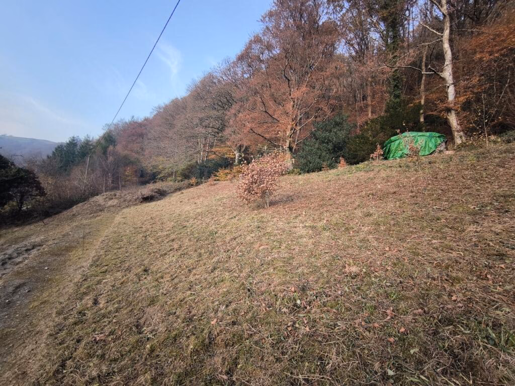 Plot for sale - Image 4