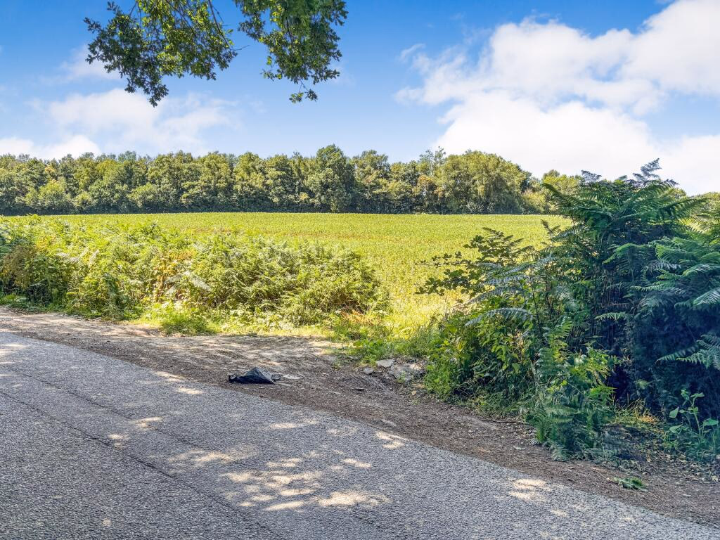 Land for sale - Image 2