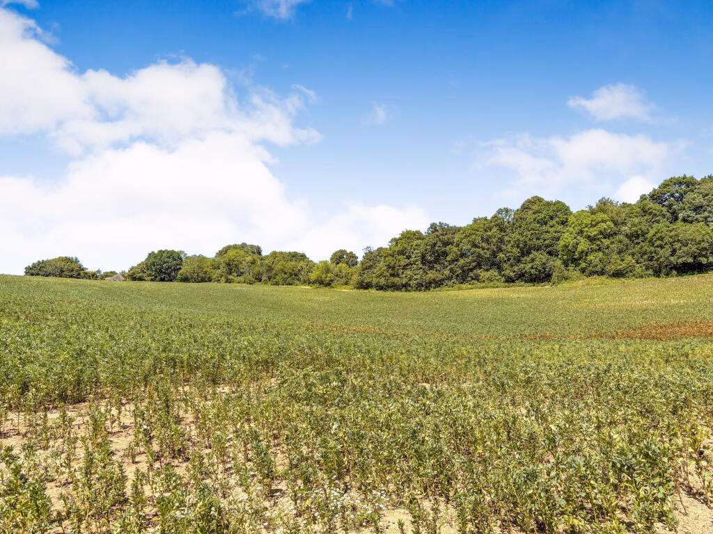 Land for sale - Image 3