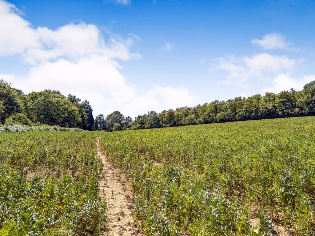 Land for sale - Image 3