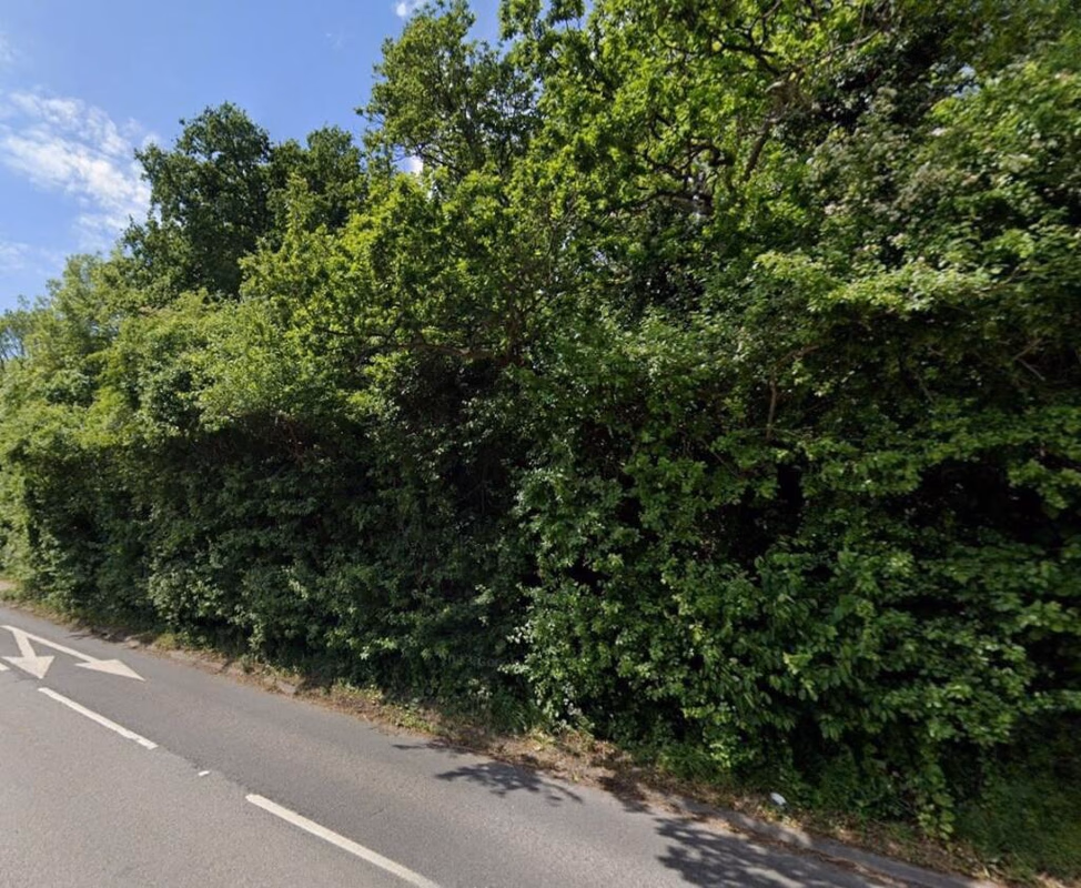 Land for sale - Image 3