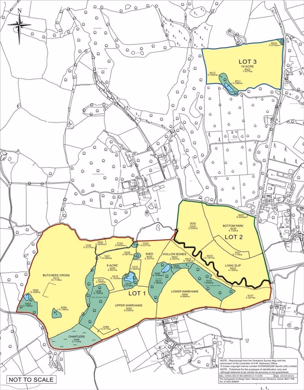 Land for sale - Image 3