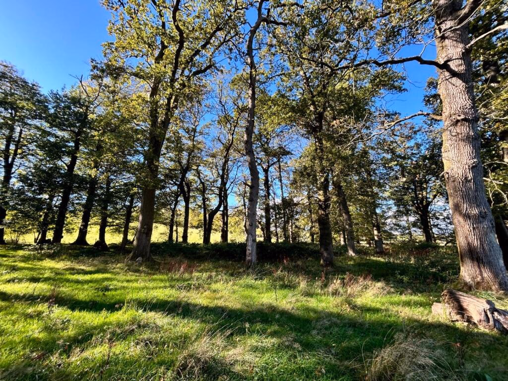 Farm land for sale - Image 3