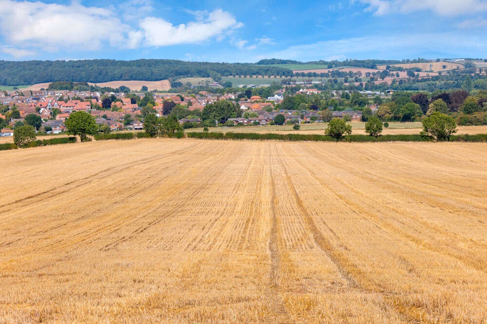 Land for sale - Image 1