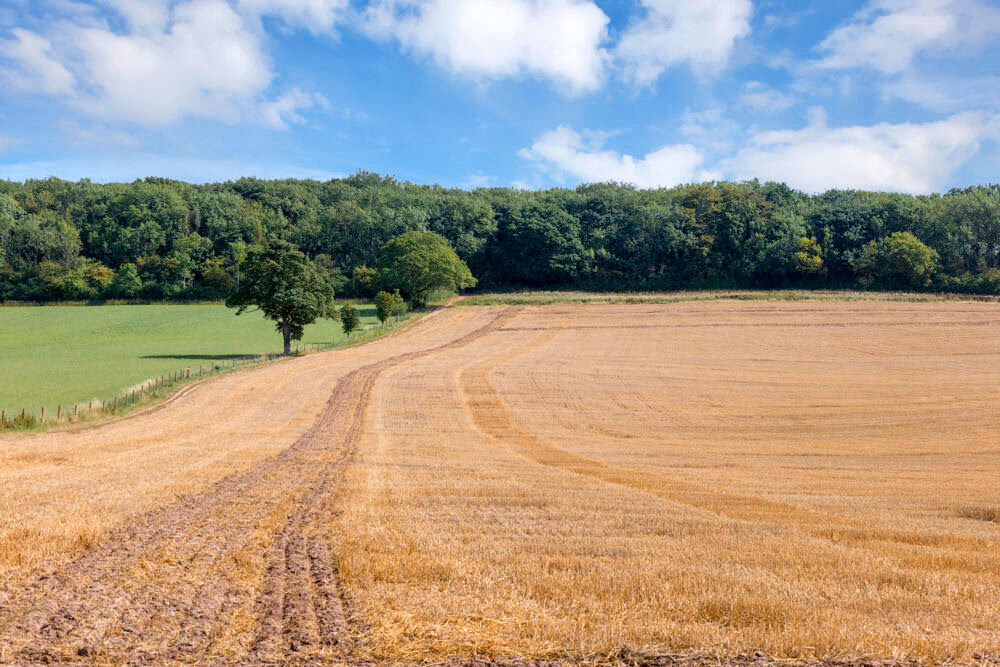 Land for sale - Image 4