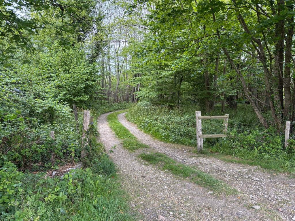 Land for sale - Image 3