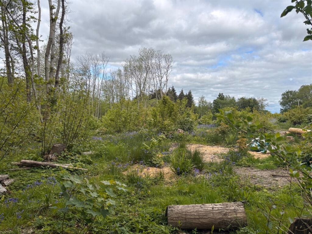 Land for sale - Image 4