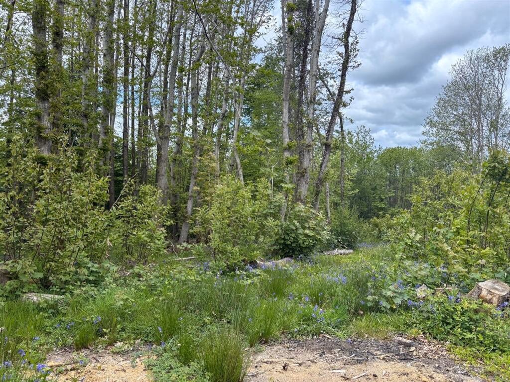 Land for sale - Image 5