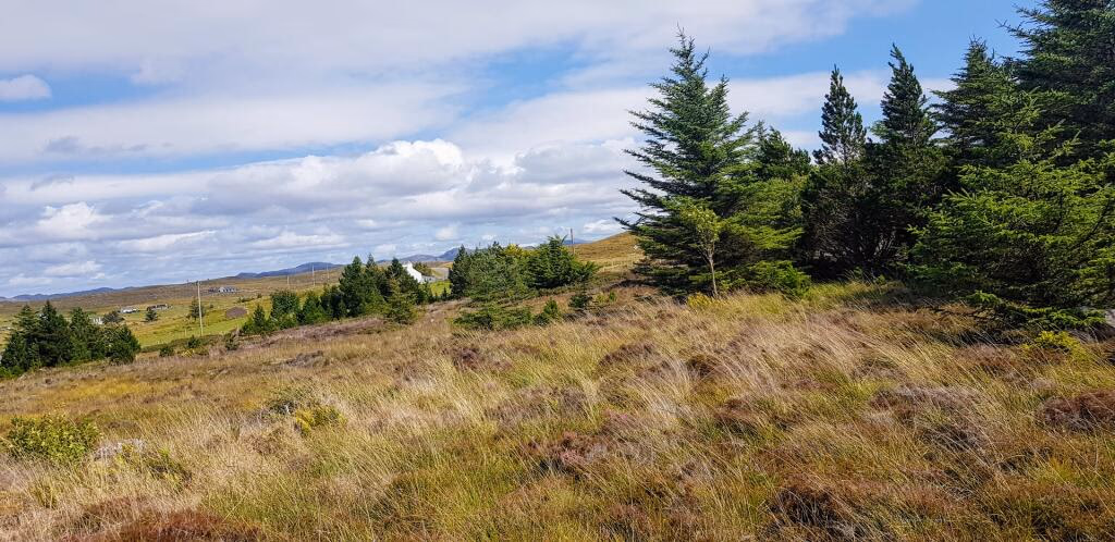 Plot for sale - Image 2