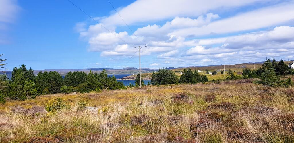 Plot for sale - Image 3