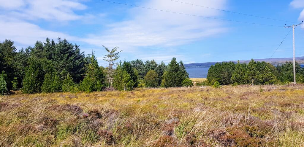 Plot for sale - Image 4