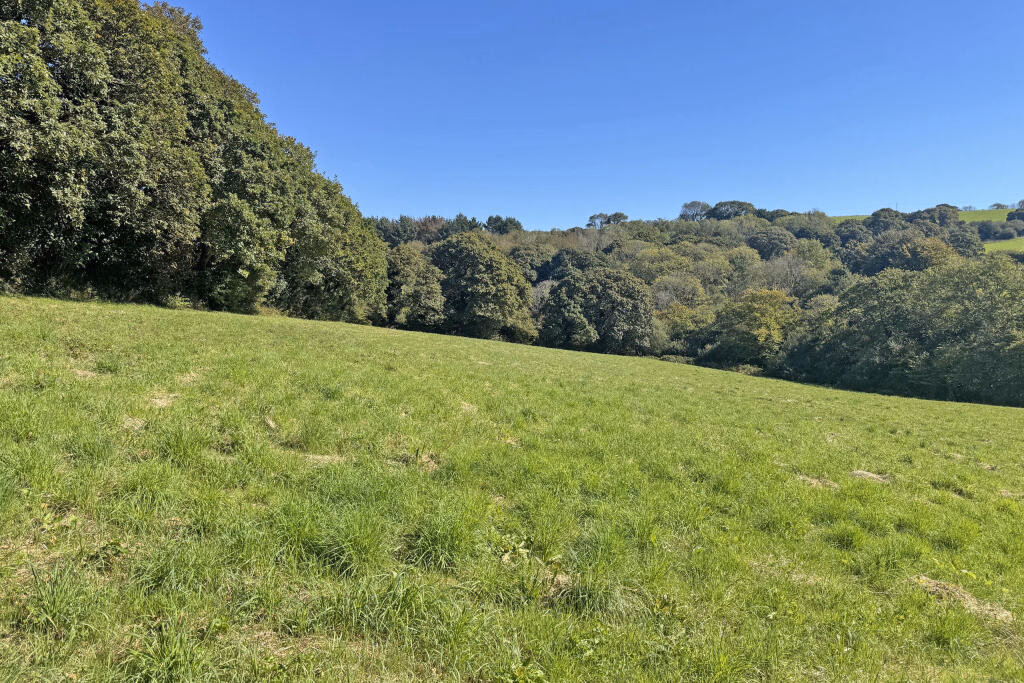 Land for sale - Image 3