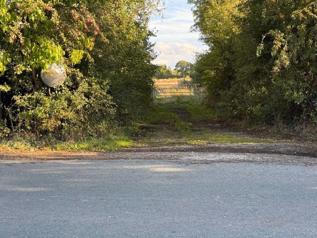 Farm land for sale - Image 2