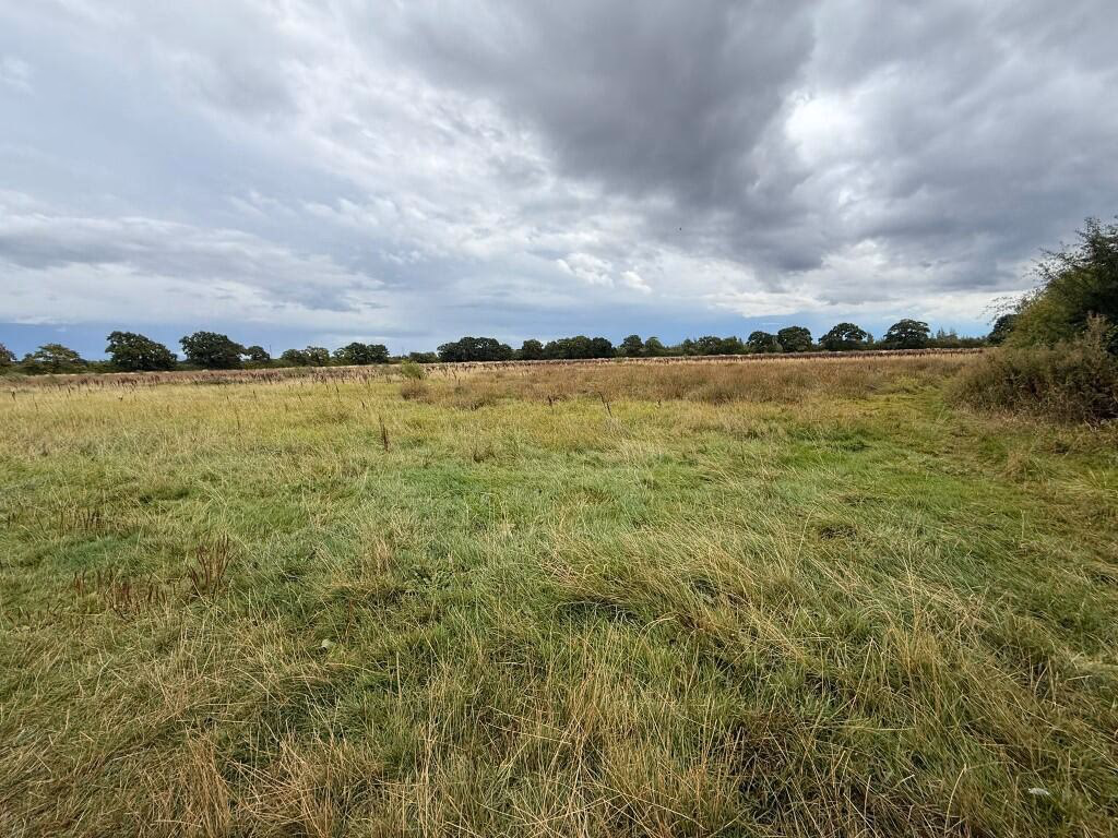Farm land for sale - Image 3