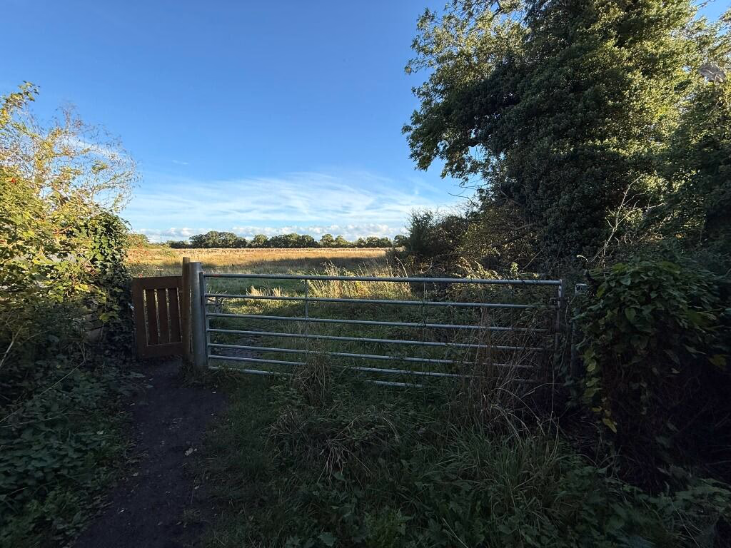 Farm land for sale - Image 5