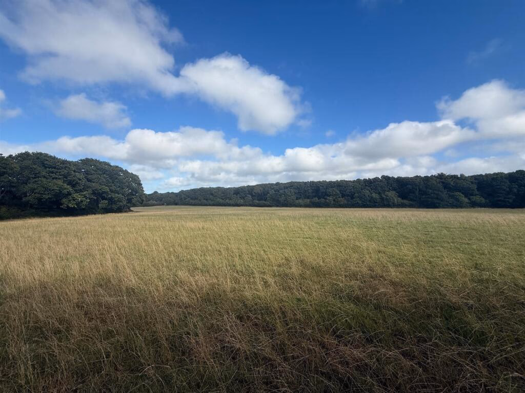 Farm land for sale - Image 5