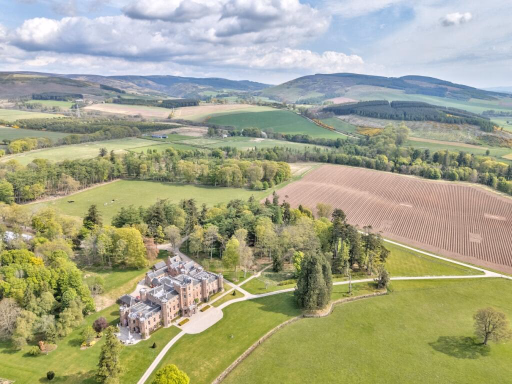 Plot for sale - Image 3