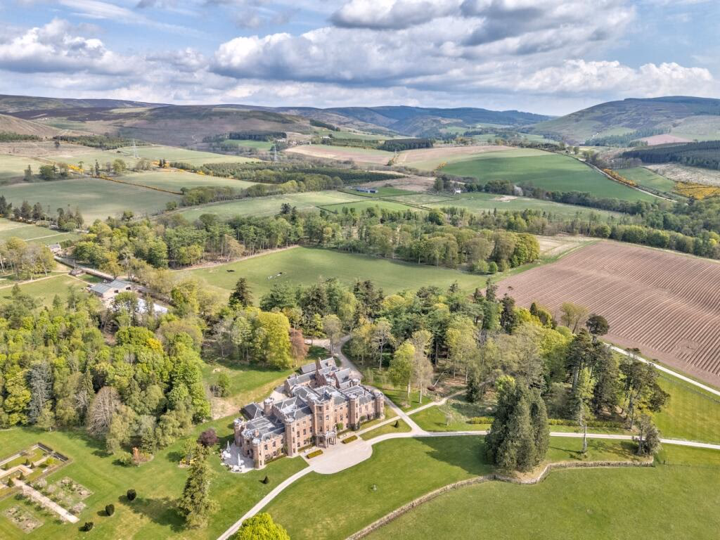 Plot for sale - Image 4