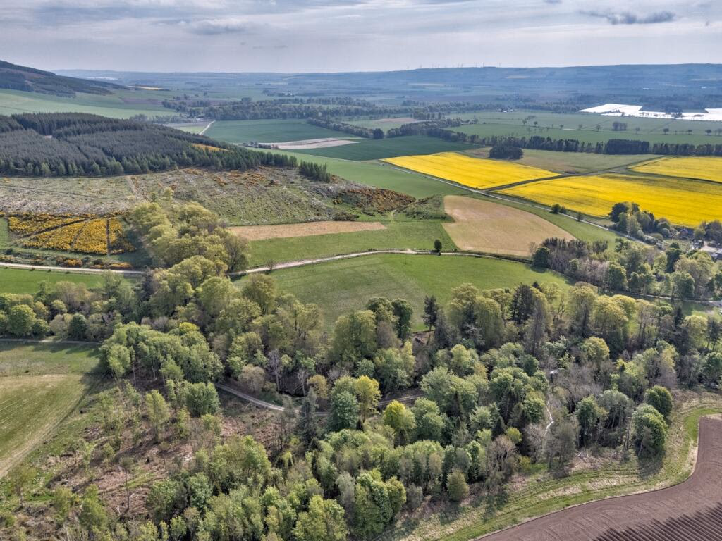 Plot for sale - Image 5