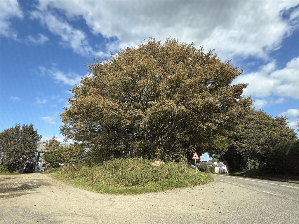 Land for sale - Image 3