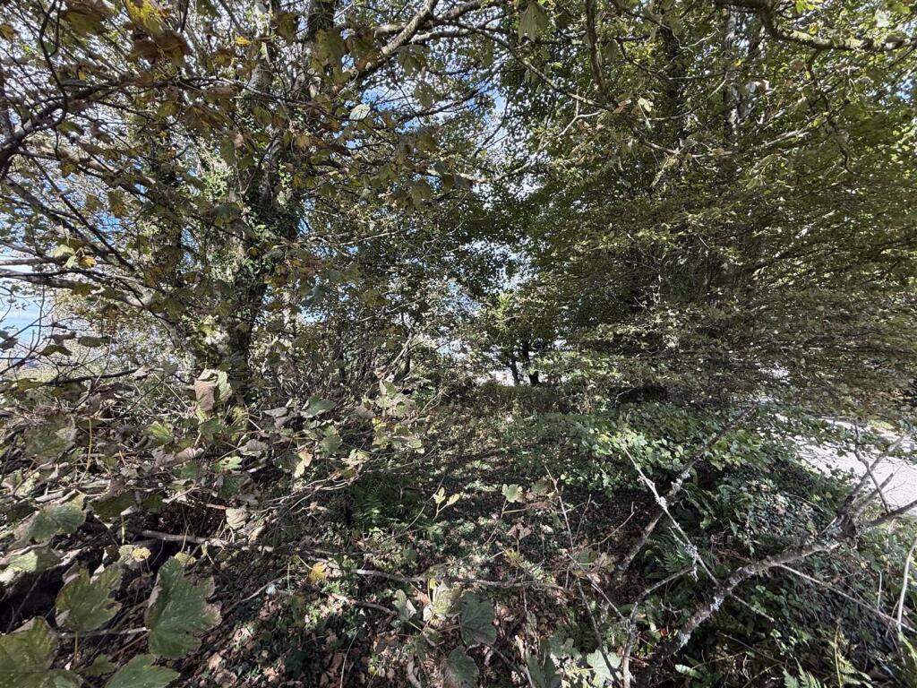 Land for sale - Image 4
