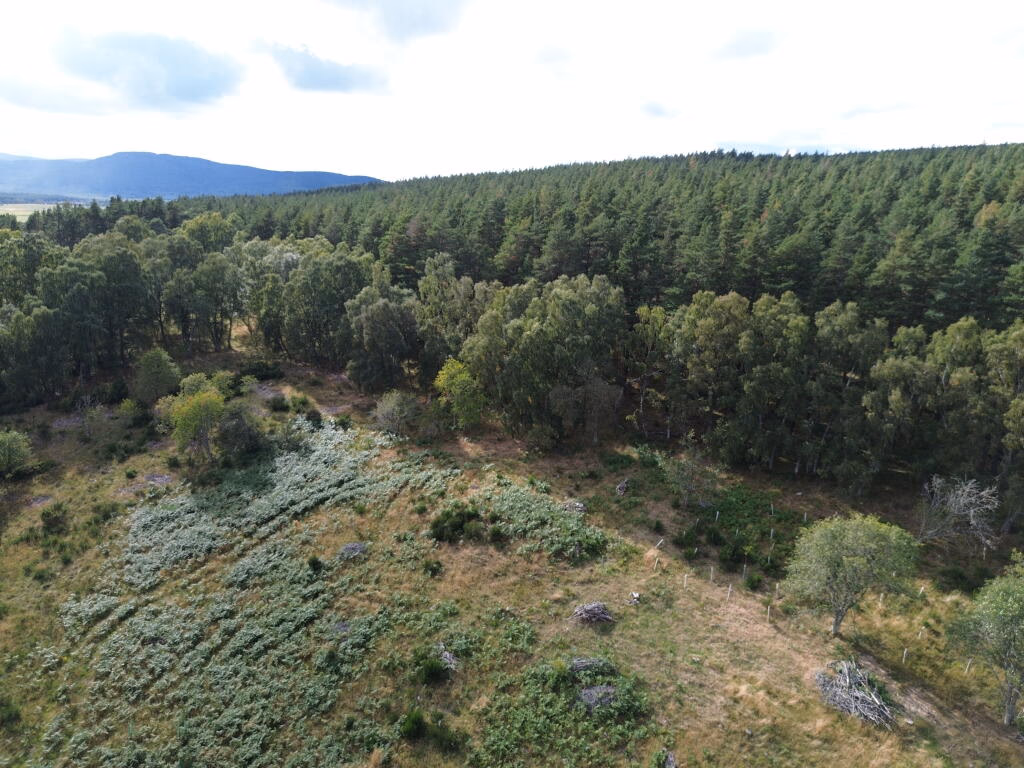 Land for sale - Image 5