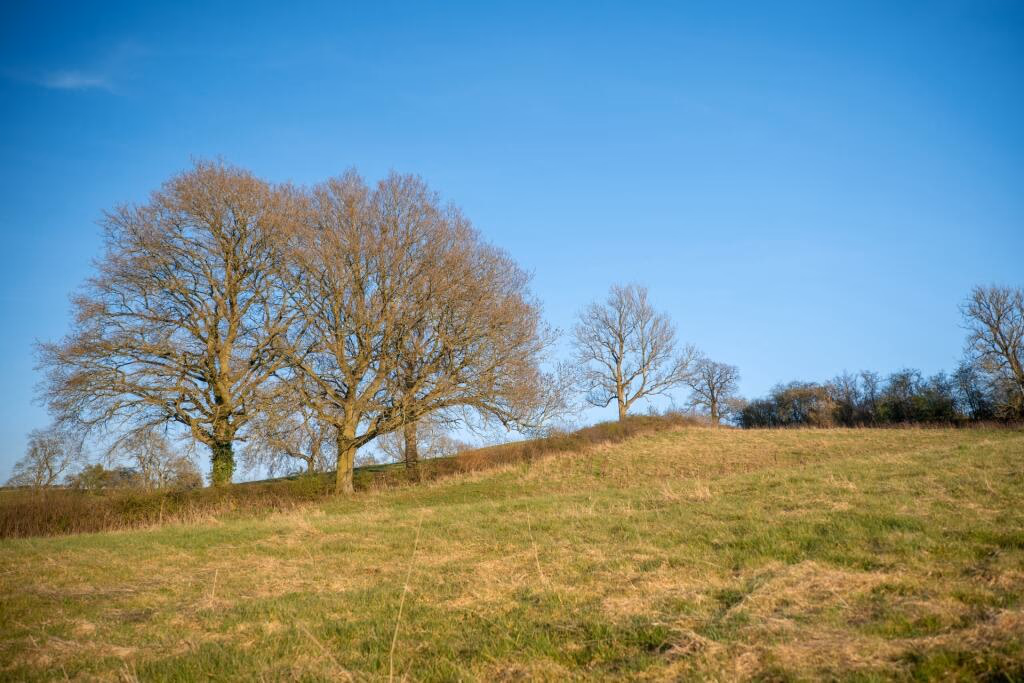 Land for sale - Image 5