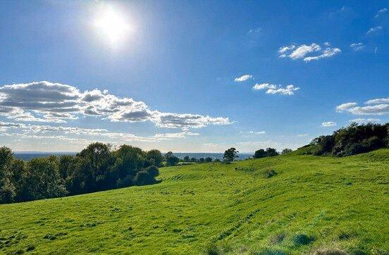 Land for sale - Image 1