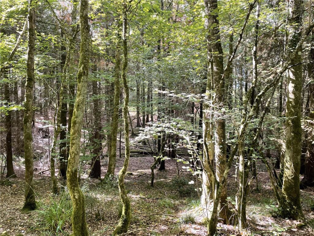 Land for sale - Image 2