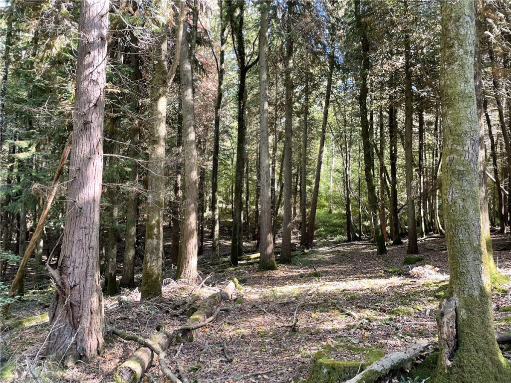 Land for sale - Image 5