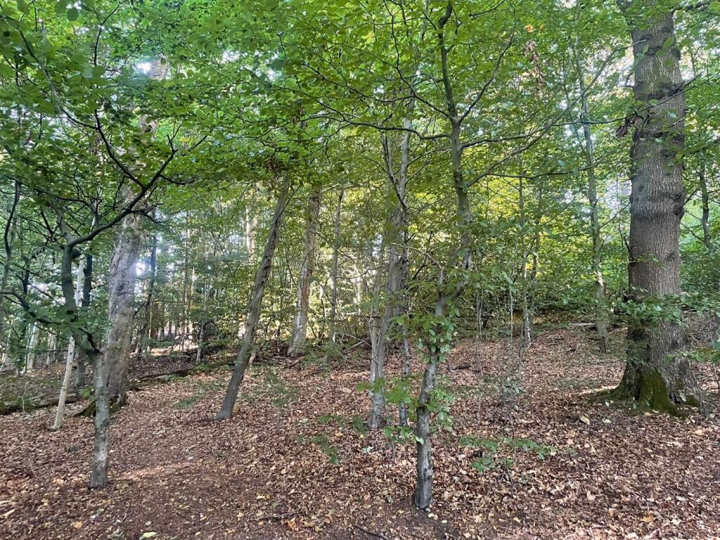 Land for sale - Image 3