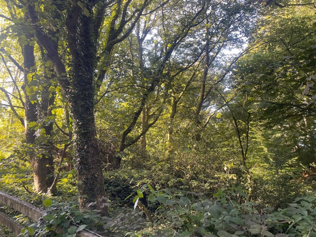 Land for sale - Image 4